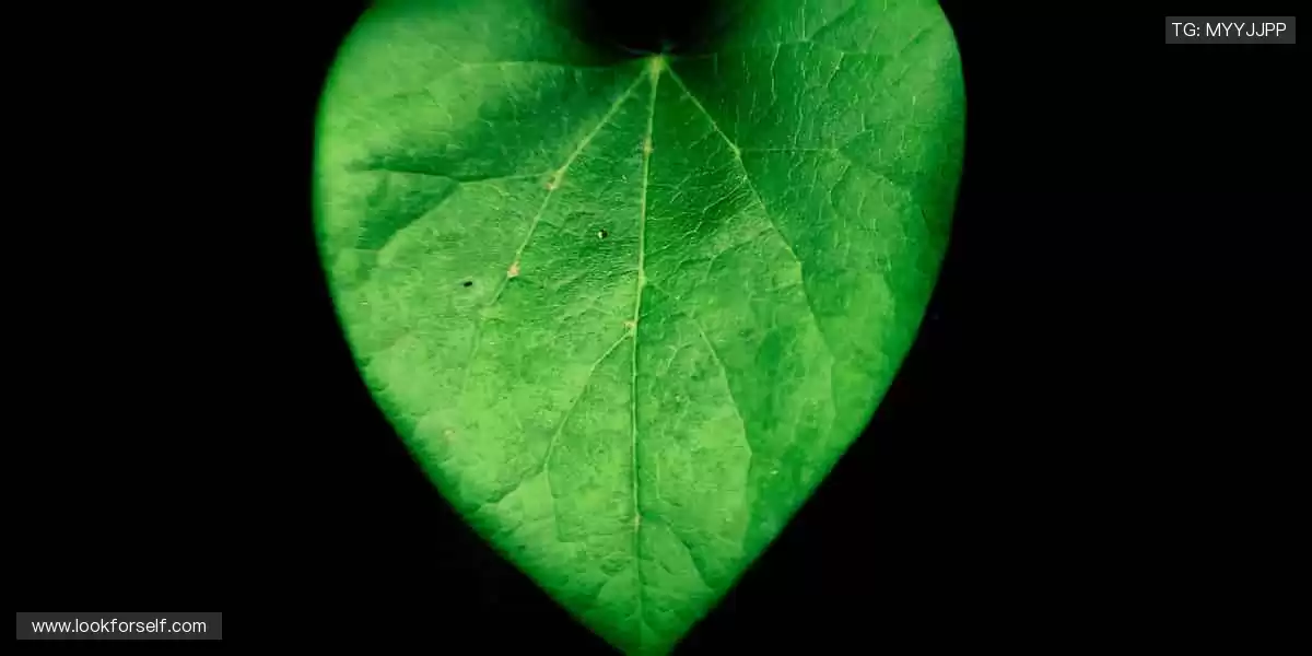 🎯【周边商城】穿上信仰，让热爱不止于呐喊！